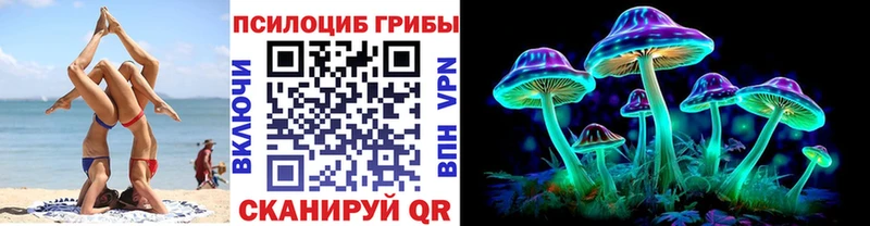 Псилоцибиновые грибы Cubensis  KRAKEN ссылки  Гвардейск 
